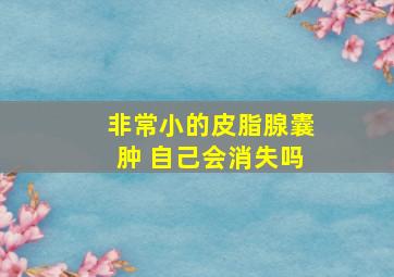 非常小的皮脂腺囊肿 自己会消失吗